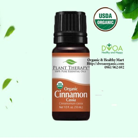 Tìm hiểu về tinh dầu quế và những lợi ích cho sức khỏe