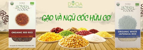 Gạo &  ngũ cốc nấu ăn