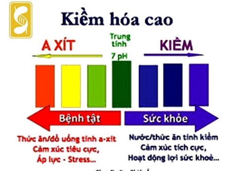 Những thực phẩm thải độc và kiềm hóa cơ thể