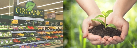 Thực phẩm tươi