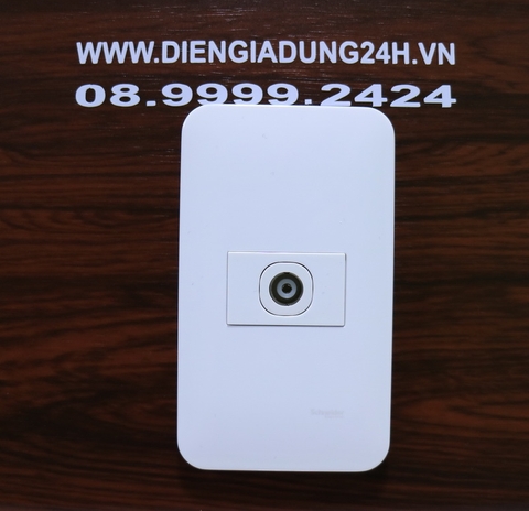 Ổ CẮM TV SCHNEIDER S-FLEXI - F30TVSM_WE_G19