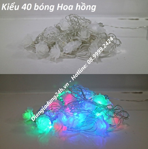 CHỚP KIỂU 40 BÓNG HOA HỒNG