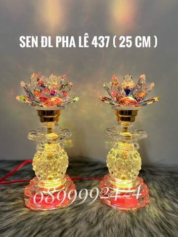 Đèn sen ĐL 1 BÔNG PL 437 ( 25cm )