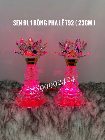 Đèn sen ĐL 1 BÔNG PL 792 ( 23cm )