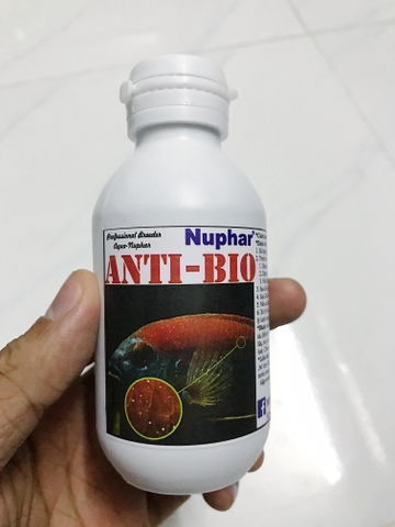 ANTIBIO NUPHAR / ANTI BIO – Chuyên xử lý nấm cho cá, túm lắc cho guppy