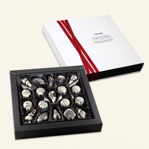 Amazing Seashell Chocolate