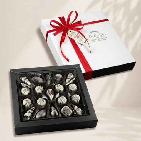 Amazing Seashell Chocolate