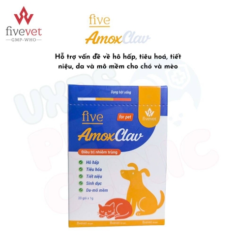AmoxClav điều trị nhiễm trùng tiêu hoá vị sữa cho chó mèo - Cutepets