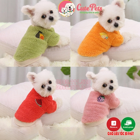 Áo lông 2 chân - Áo quả 205