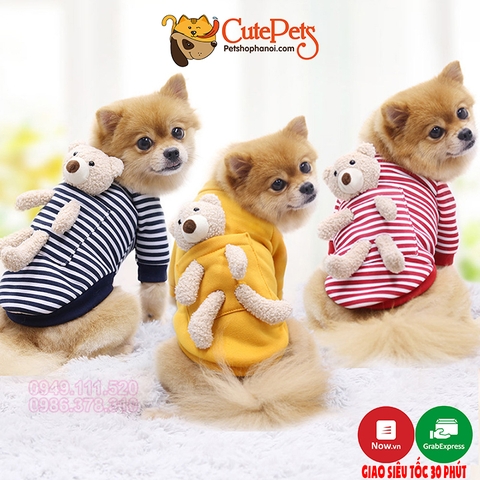 Áo cho chó mèo đeo gấu cute áo nỉ mùa đông cho thú cưng - CutePets