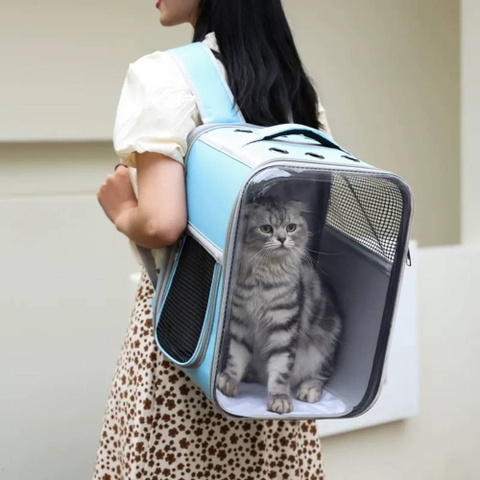 Balo cho chó mèo trong chữ nhật viền hoạ tiết con gấu 40x28x28cm - Cutepets