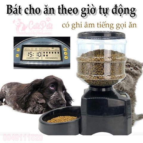Máy bát ăn hẹn giờ cho ăn tự động 5.5L Có ghi âm gọi ăn - Cutepets