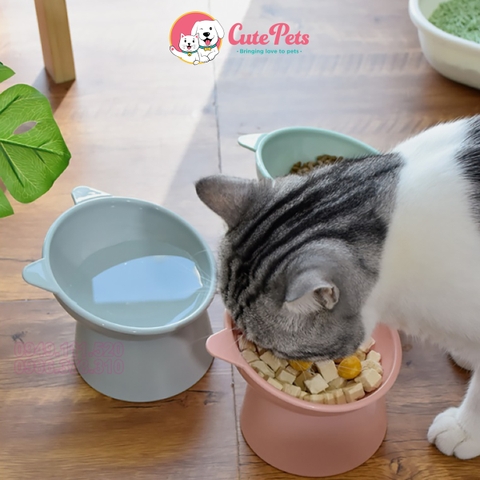 Bát đơn cho chó mèo đế cao mặt Gấu 13.5cm Phụ kiện thú cưng - Cutepets