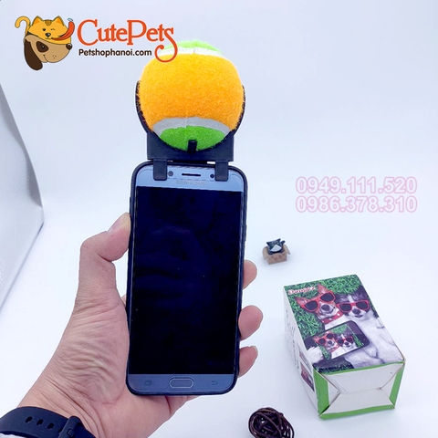 Phụ kiện Bóng hỗ trợ chụp ảnh thú cưng - CutePets