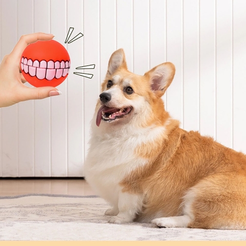 Bóng chút chít in hình hàm răng cho chó - Cutepets