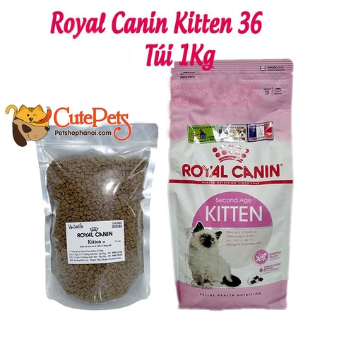 Thức ăn cho mèo con Royal Canin Kitten 36 Hạt mèo cao cấp từ Pháp - Cutepets