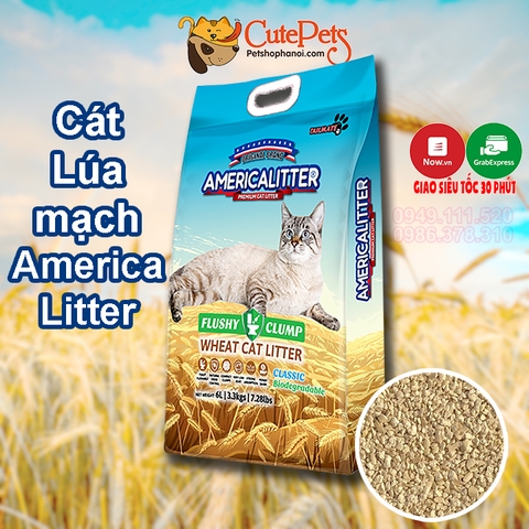 Cát Lúa Mạch cho mèo America Wheat Litter 11L 6.4kg Đổ được bồn cầu, Thấm hút vón tốt hơn cát đậu phụ - CutePets