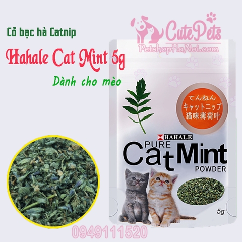 Cỏ bạc hà Catnip Hahale Cat Mint 5g Dành cho mèo - CutePets