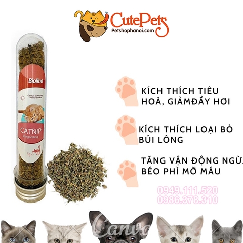 Cỏ Mèo Bạc Hà cho mèo Catmint Bioline  45ml dành cho mèo - CutePets