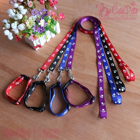 Dây dắt Mỏng 1 lớp kèm vòng cổ 1cm