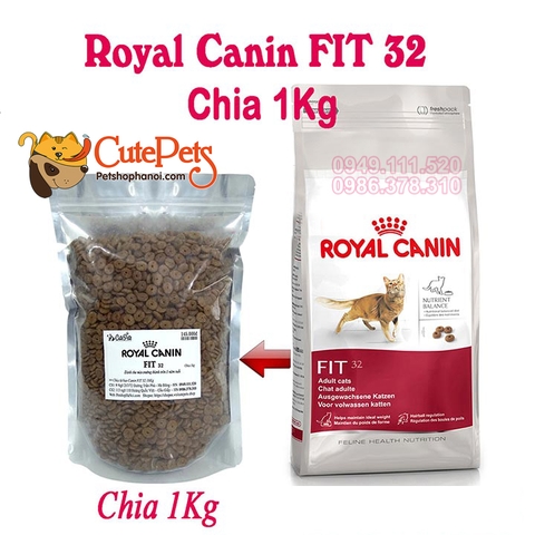 Hạt Mèo lớn Royal Canin Fit 32