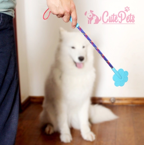 Gậy tét đít - Huấn luyện chó mèo - CutePets