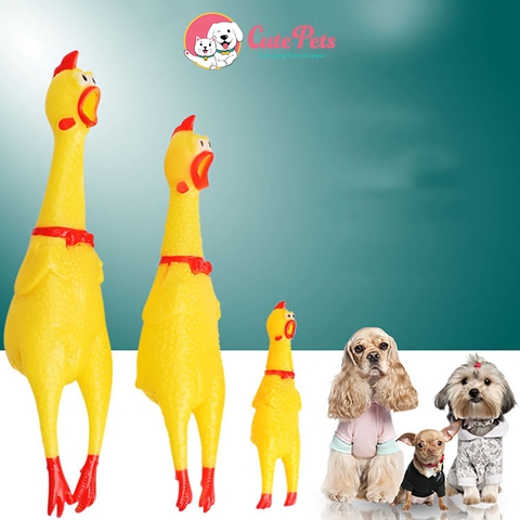 Đồ chơi cho chó mèo gà la hét - Cutepets