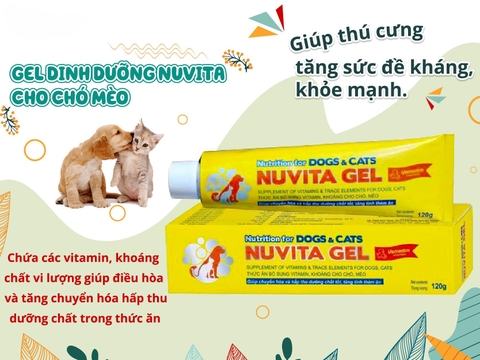 Gel dinh dưỡng cho chó mèo Nuvita Gel 120g Vemedim - Cutepets