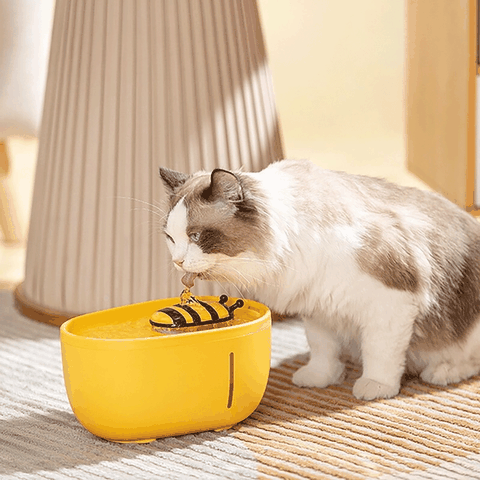 Máy lọc nước ong vàng 2L Little Bee Water - Cutepets
