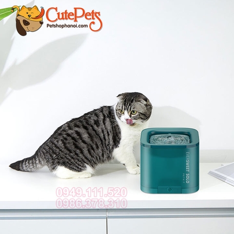 Máy lọc nước Petkit EverSweet Solo 1.85L dành cho thú cưng - CutePets