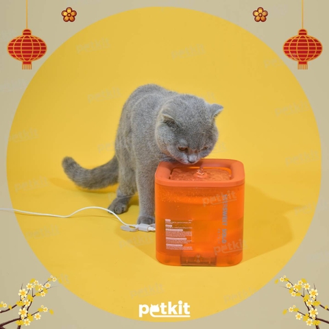 Máy lọc nước Petkit - Cutepets