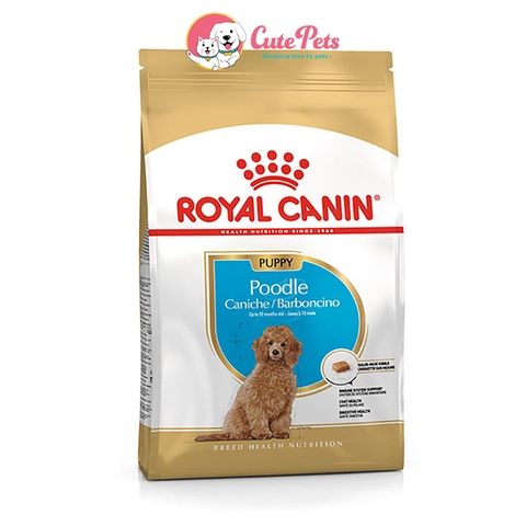 Thức ăn cho chó nhỏ Royal Canin Poodle Junior - Cutepets
