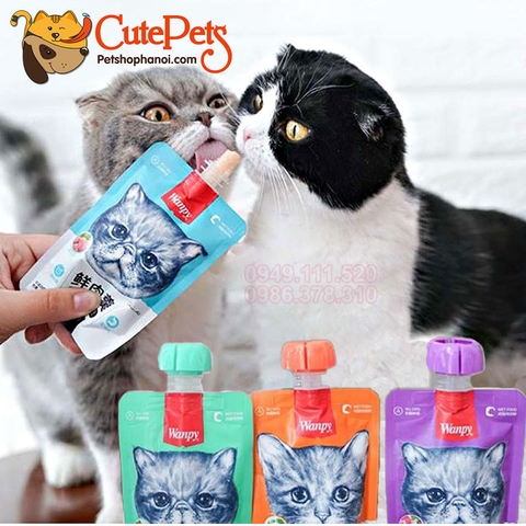 Súp thưởng cho mèo Wanpy 90g Bánh thưởng cho mèo dạng kem - Cutepets