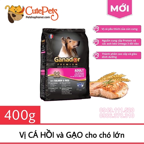 Thức ăn cho chó Ganador Adult 400g Vị cá hồi - CutePets