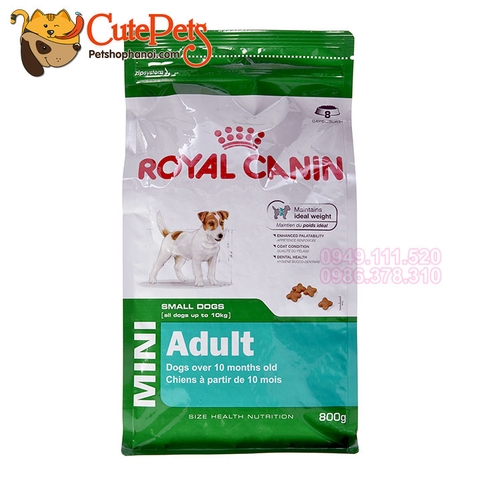 Hạt cho chó lớn Royal Canin Mini ADULT 800g