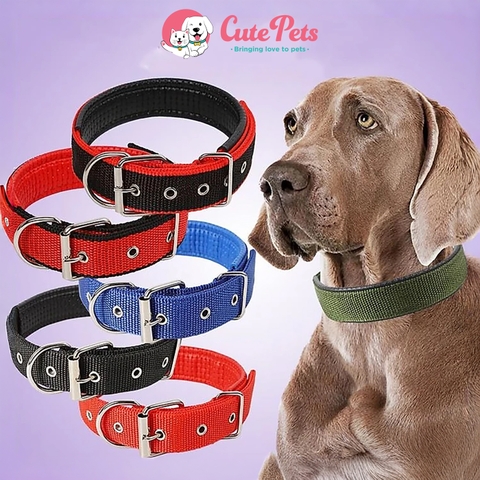 Vòng cổ vải màu lót da mềm cho chó - Cutepets