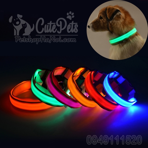 Vòng cổ đèn LED đi đêm phát sáng dành cho thú cưng - Cutepets