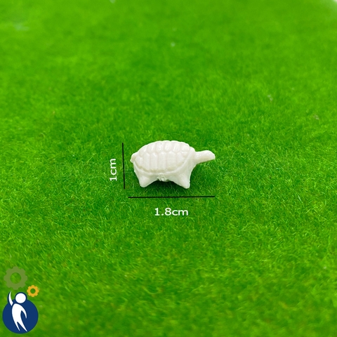 Rùa Mô Hình Mã 03