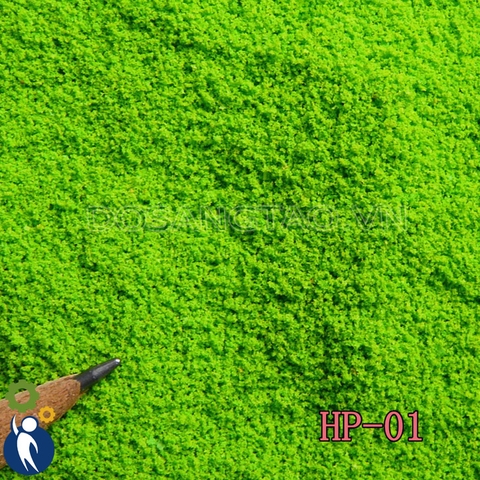 Bột Cây Nhuyễn - Xanh H01