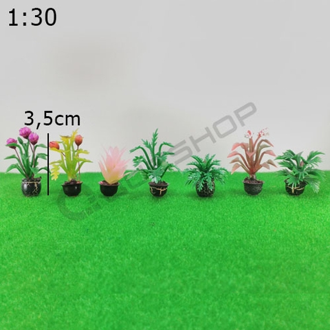 Chậu Kiểng Nhỏ