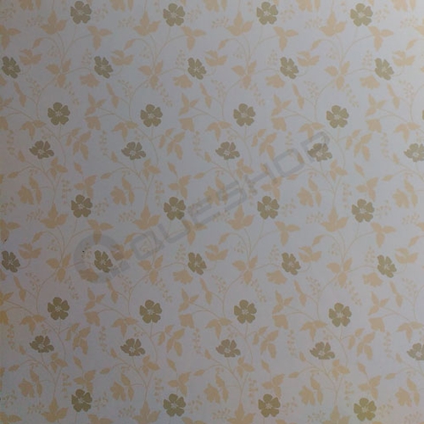 Giấy Dán Tường 1.2