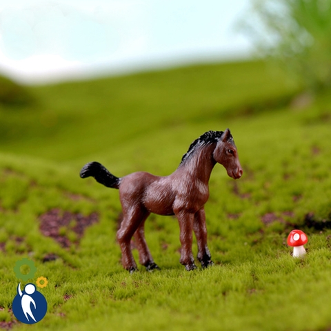 Ngựa Nhỏ 5.3x6.7