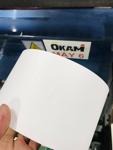 Ruban 100x120 x 200m, đục lỗ oval