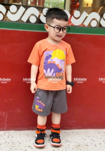 - BỘ ĐÙI BÉ TRAI ÁO CAM KHỦNG LONG QUẦN XÁM