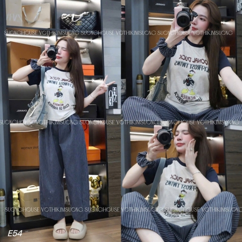 BỘ CỘC GHI PHỐI THAN HÌNH VỊT QUẦN KẺ