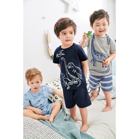 SET 3 BỘ BÉ TRAI KHỦNG LONG ĐEN GHI XANH