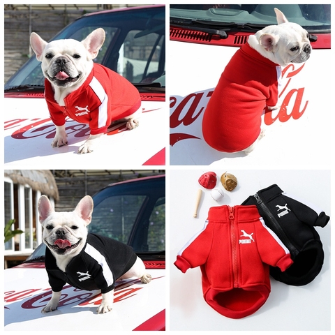 Áo khoác nỉ Sweater bóng chày có khóa kéo in chữ sành điệu cho chó,  mèo, thú cưng