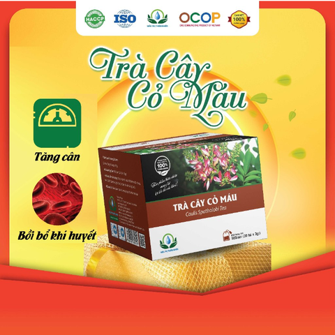 Trà Cây Cỏ Máu hộp 30 túi lọc 3Gr giúp Tăng Cân, bồi bổ khí huyết