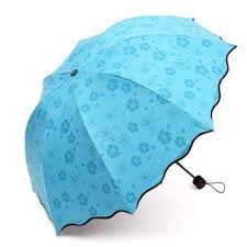 Ô (dù) gấp gọn, gặp nước nở hoa