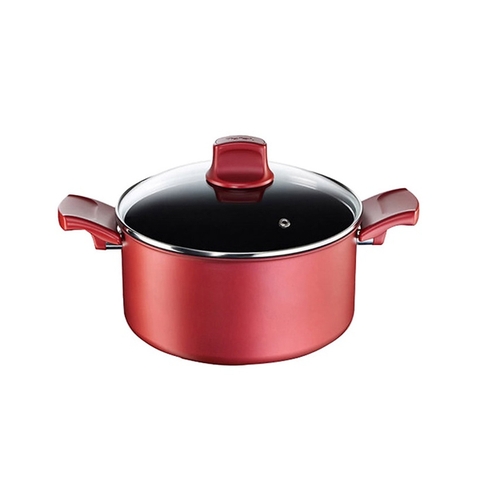 Nồi lẻ hai quai Tefal Expertise có nắp 24cm (C6204672)